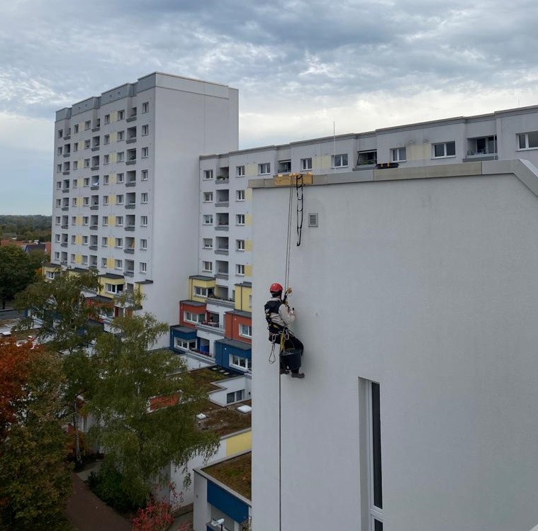 Fassade Spechtlochentfernung